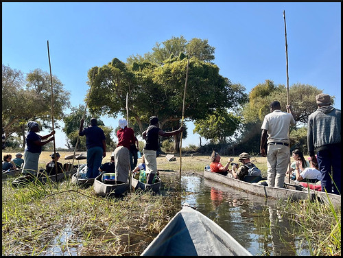 Delta del Okavango. Seronga - Botswana y Victoria Falls: La ruta del Río Perdido (18)