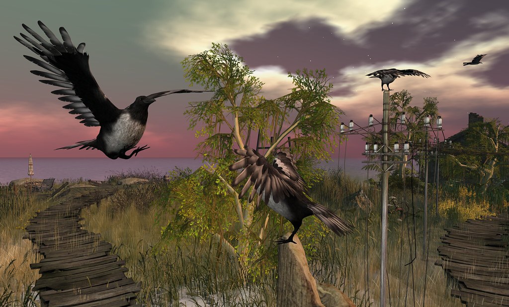 Merp Bird Birds of a Feather @ Lost Lagoon | maps.secondlife.com/secon… | Flickr