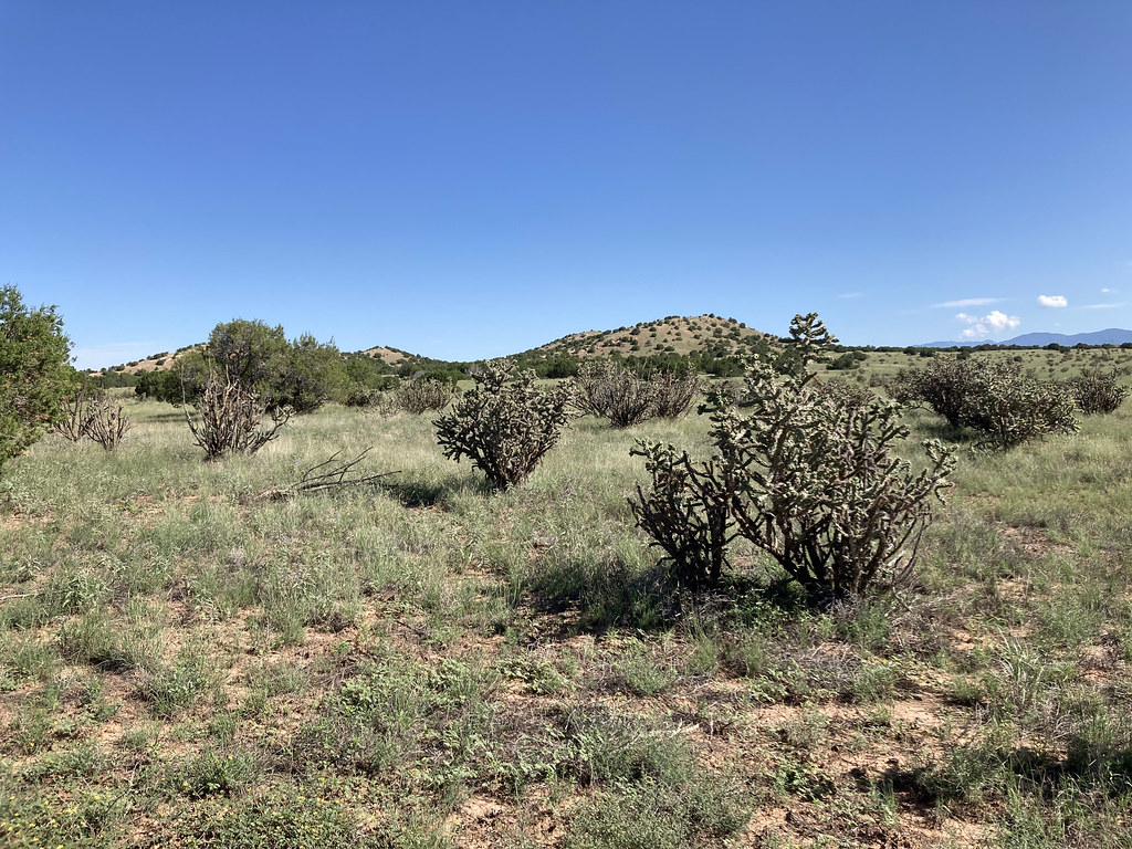 Arroyo de los Angeles Trail