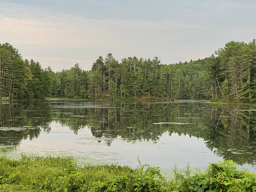 Backyard view from Lakehouse Tavern by daveynin, Lakehouse Tavern @ Concord, New Hampshirepond trees reflection sunset