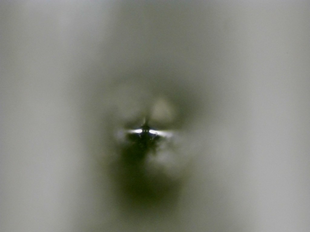53967574333_dca0a52540_b.jpg