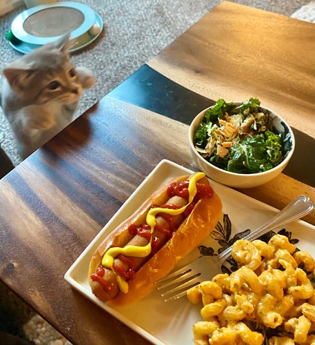 Title: Cat Eat Dog