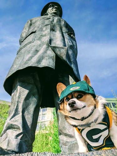 Title: Lambeau Corgi