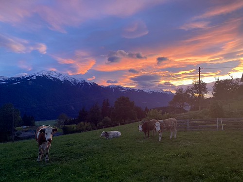 Sunset Presslauer by CoreForce, sunset