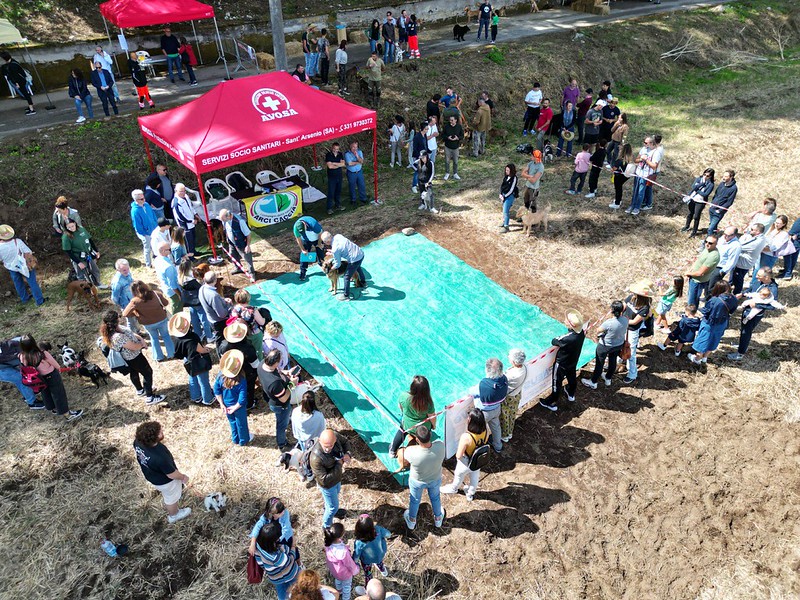 A Sant'Arsenio evento TractorMarster di Falcopneus 