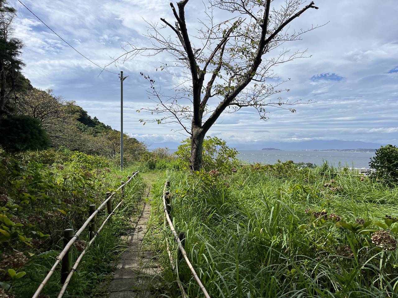 【三浦半島】仙元山～大峰山 海と富士山の展望！電車で行くお手軽ハイキング