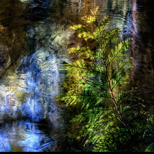 Double Exposure | by Don White (Burnaby)