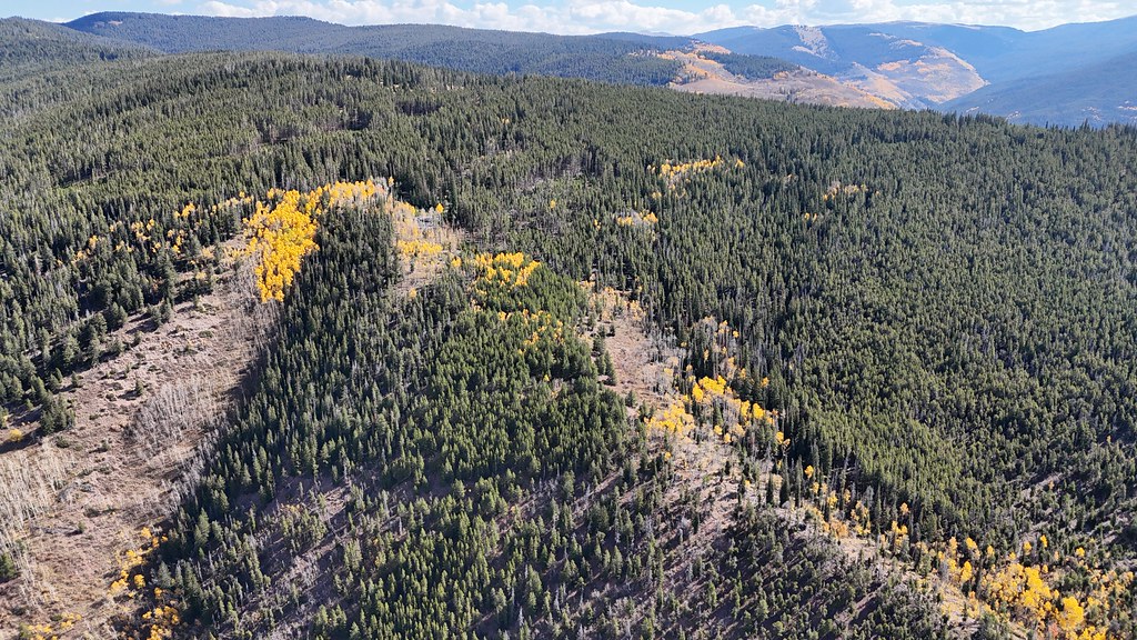 Trail near Iron Mountain