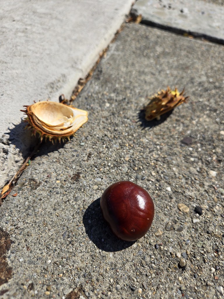 Broken open
