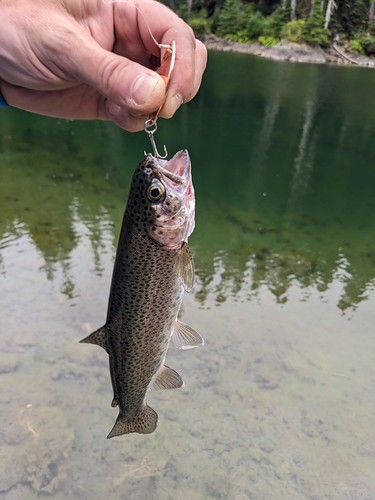 High lake