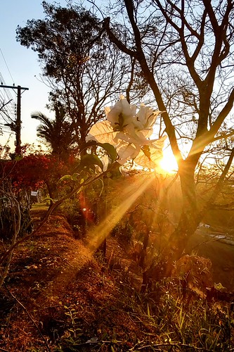 Sunset by Higino Silva, IMG_171311904