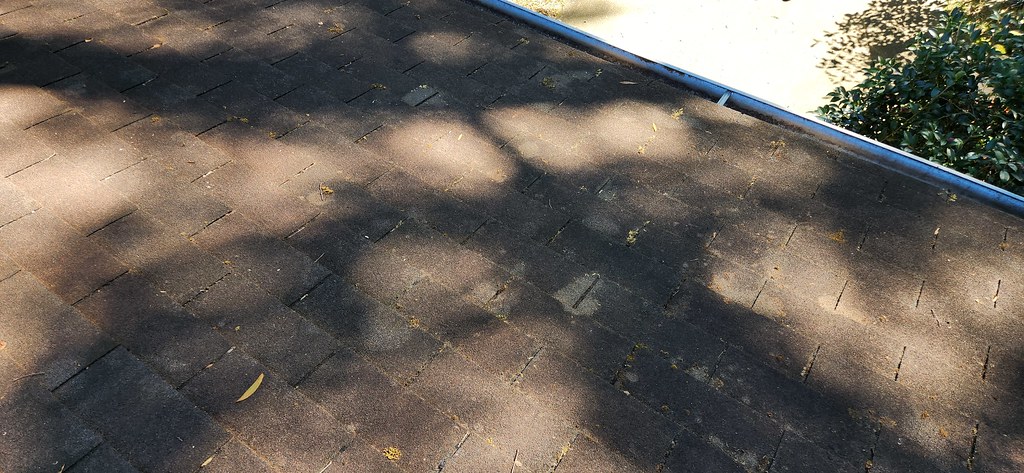 Roof after treatment (day 9)