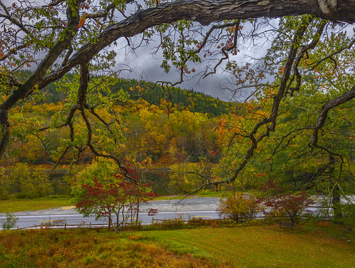 View from the deck by Steve Guttman NYC, Sunday afternoon. Rain.