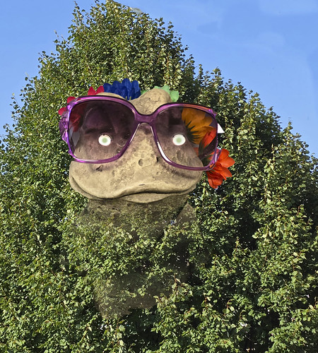 Alive and Looking at You by Rusty Russ, Tree Frogtree frog alive face leaf montage wonderful crazy insane interesting tinder day digital fli