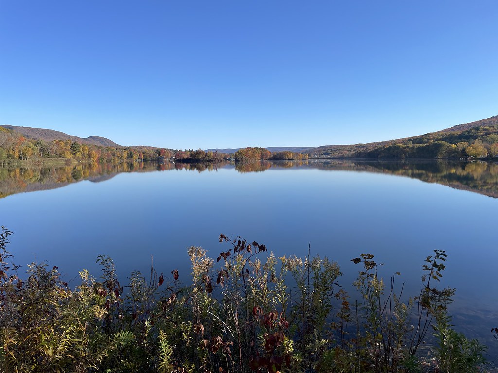 Silent Sunday