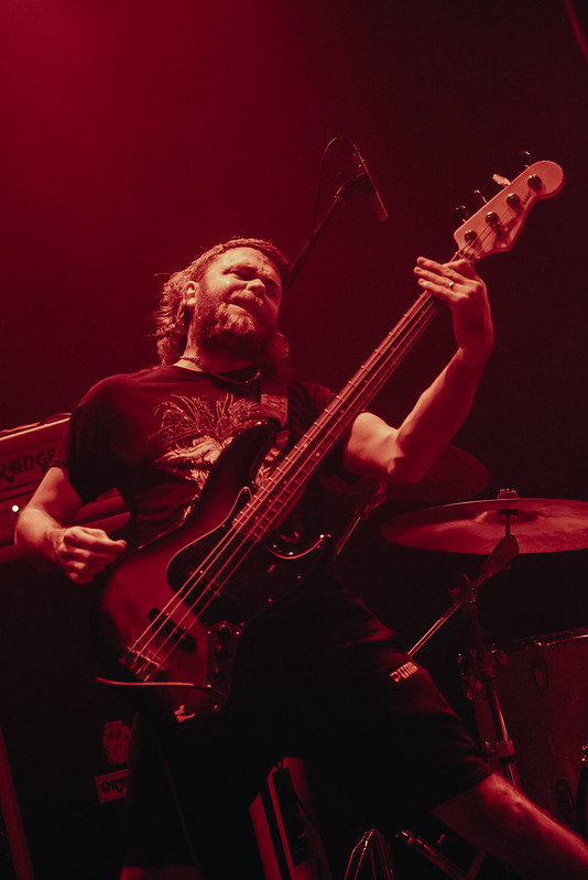 Pigs x7 - 201024-14