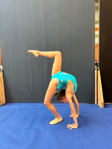 Campionato della Federazione Ginnastica d’Italia asd Danza e Ginnastica Kodokan