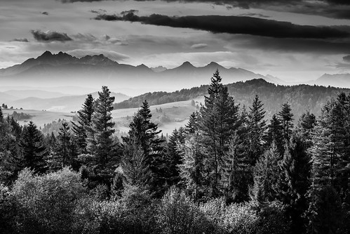 In the Pieniny Mountains by kamilgalanek, blackandwhite mountains landscape trees layers sky