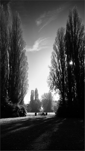 Between Trees by Jessica 'I Like Toast', amsterdam amsterdamoost amsterdamstreet blackandwhite blackwhite bw dromenland fullframecompact leic