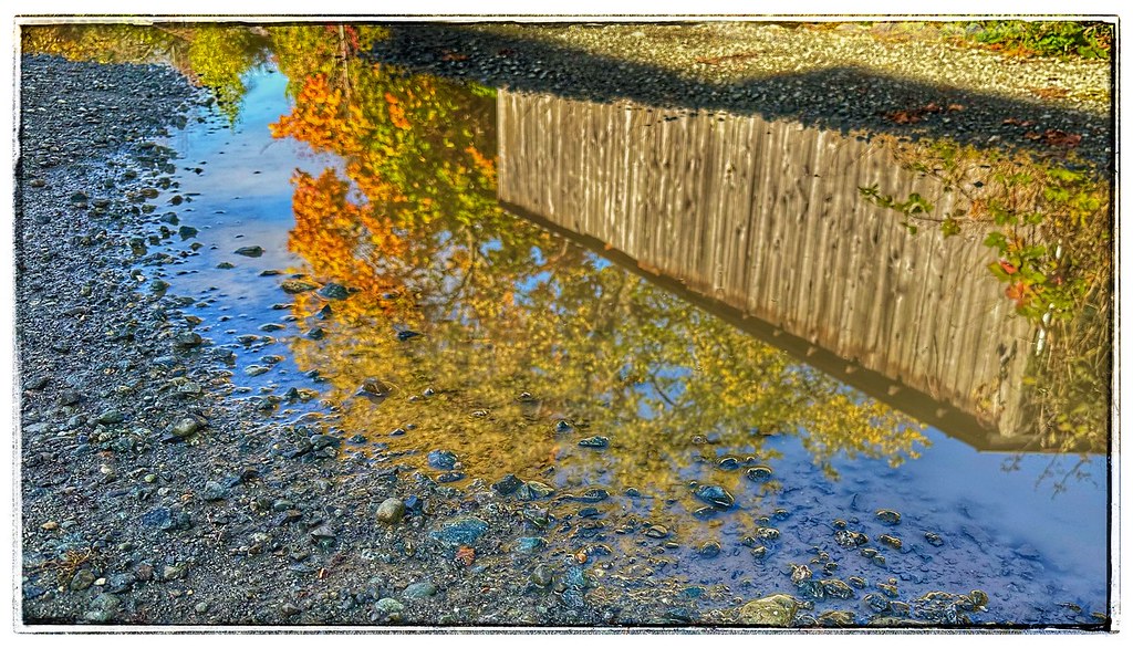 Mud Puddle Ripple Reflection Mud Puddle Reflection | The remnants of an ‘ atmospheric riv… | Flickr