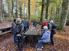 Pilzexkursion mit dem Naturhistorische Museum, Freiburg