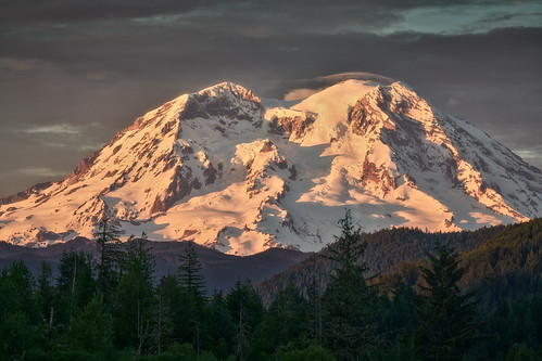Mount Rainier II by Ondrej V., evening spring goldenhour mountain landscape washington mountrainier
