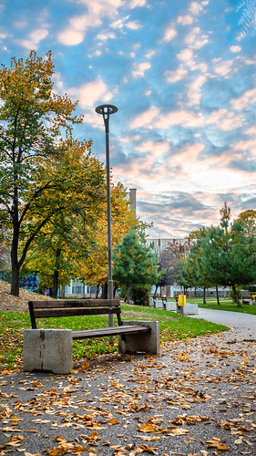 Autumn sunrise in the local park by Milen Mladenov, Autumn season is here and all the leaves are changing color in our local park.coutryside 2024 bench 