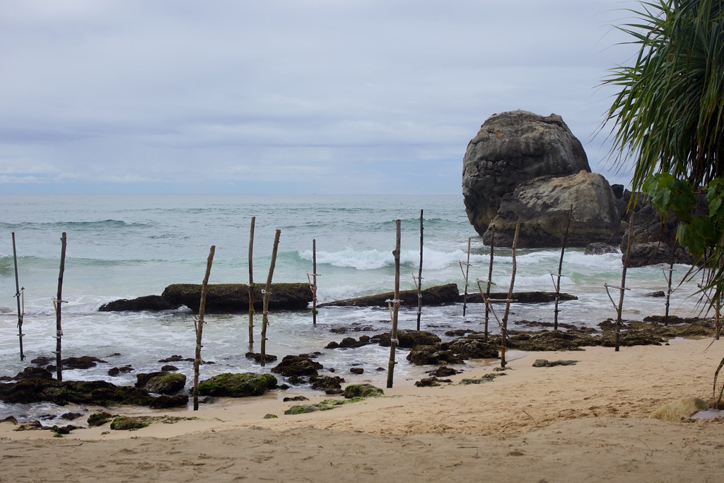 Punto de pesca para pescadores zancudos en Mirissa Punto de pesca para pescadores zancudos en Mirissa