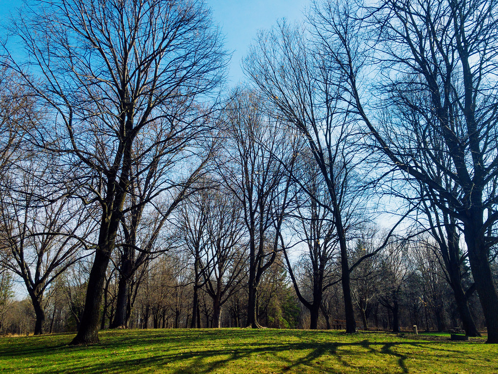 Baker Park Reserve Campground