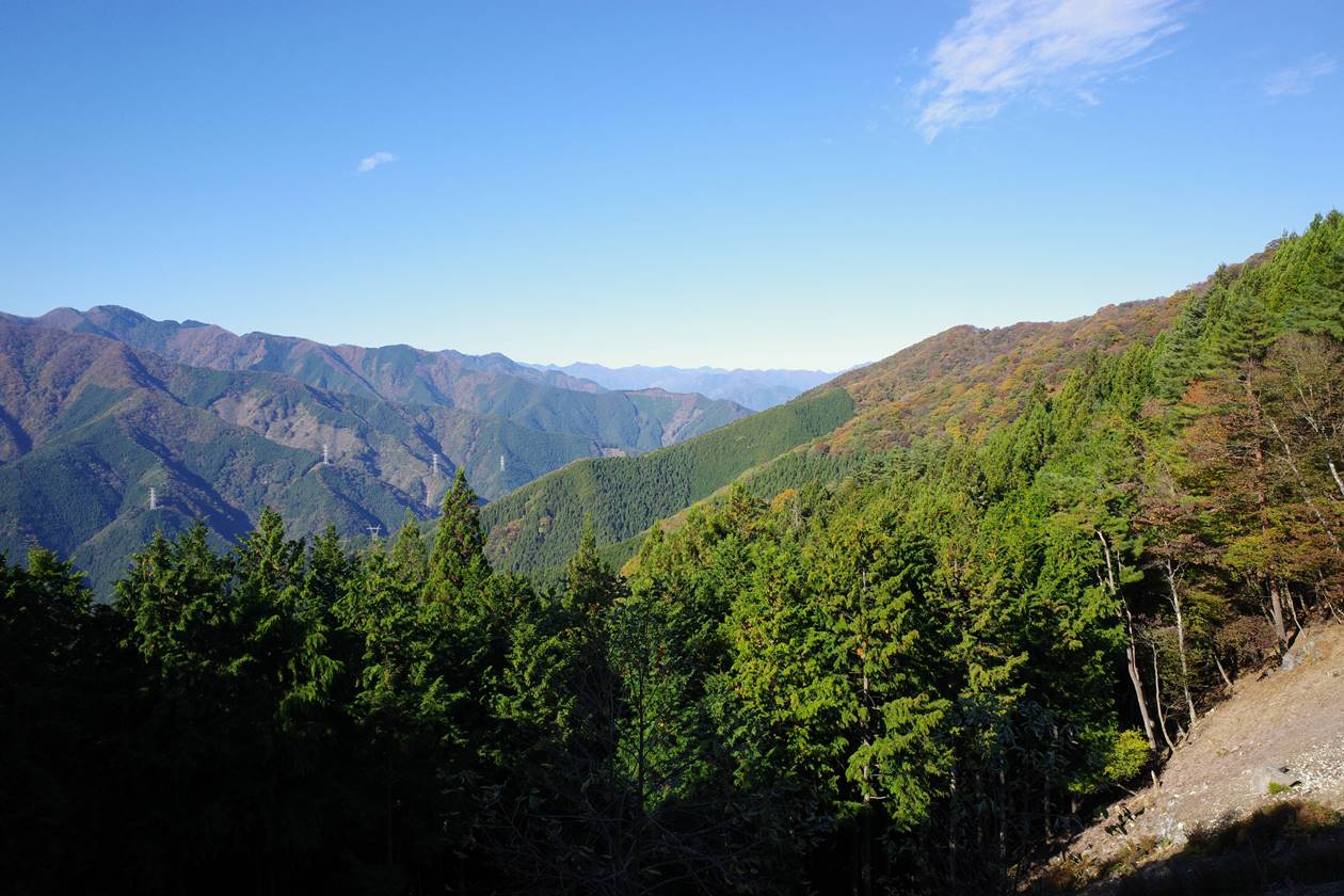【秩父】ウノタワ〜大持山〜武甲山 秋の紅葉登山（電車・バス利用）
