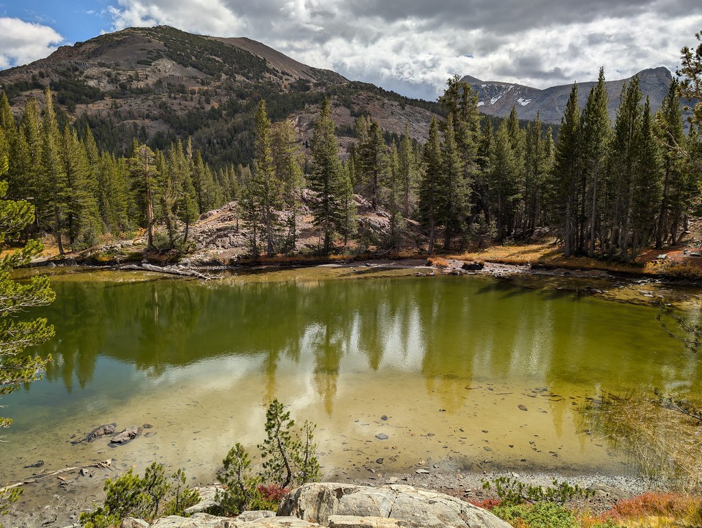 Shell Lake