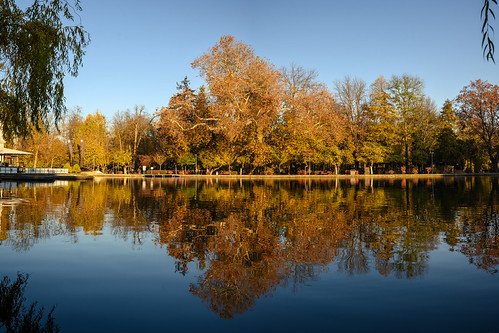 Cluj-Napoca, România | Explored by dimitrietataru, Goodbye autumn!romania clujnapoca autumn cityscape lake scenery urban city park trees lakeside water