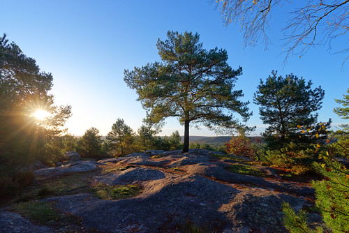 La Bombarde by hbensliman, Fontainebleau forest landscape       
                 <a href="http://hbensliman.free.fr/Fontainebl