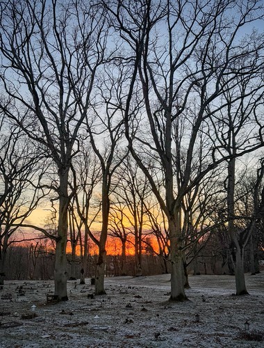 Sunset at the pet cemetery by ingemar_akerlind, Folkparken, Åbackarna, Norrköping, Östergötland, Sweden