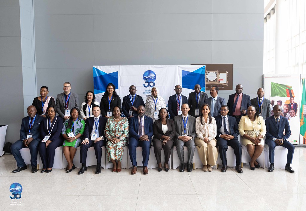 45th Intergovernmental -Committee Meeting | Flickr