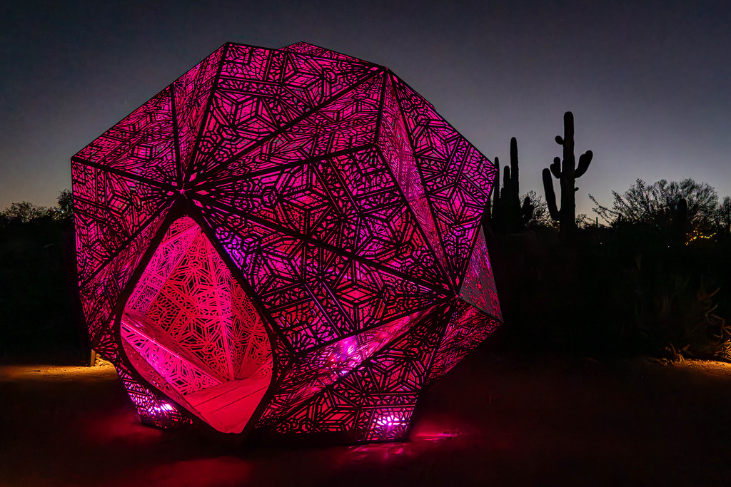 Insight - Light Bloom - The Art of Hybycozo - Desert Botanical Garden - Night