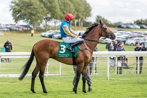Gregory before The Lonsdale Cup