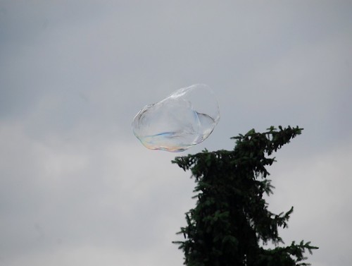 Bubble | by Spazierensehen