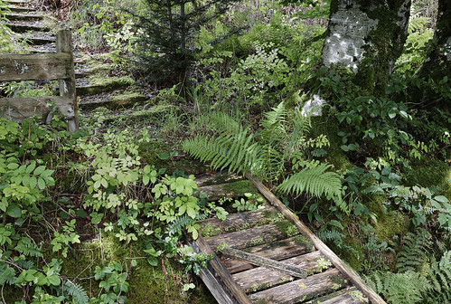 Steps | by Skye Steve