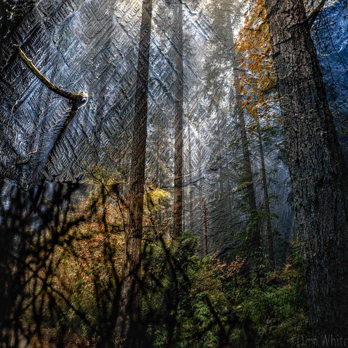 Double Exposure | by Don White (Burnaby)