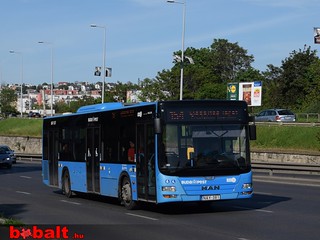 vt_nay381_01