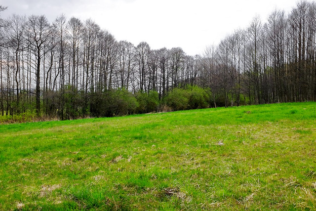 Naturschutzgebiet Děvín in Děvín