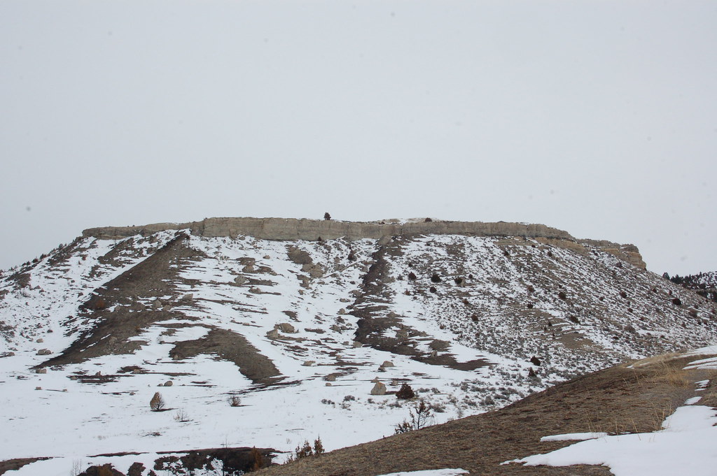 Buffalo Trail
