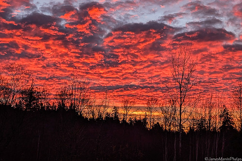 Sunrise by James Marvin Phelps, Sunrise
Bothell, Washington
December 2024
Stunning PNW December sunrise this morning.washington bot