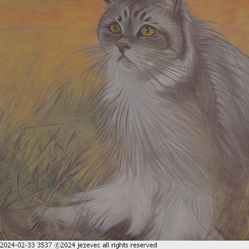 2024-02-33 3537 AI Cat Illustration | by Jezevec40 (formerly Badger 23)