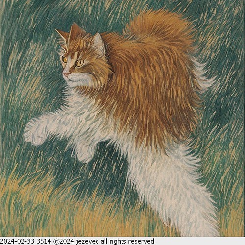 2024-02-33 3514 AI Cat Illustration | by Jezevec40 (formerly Badger 23)
