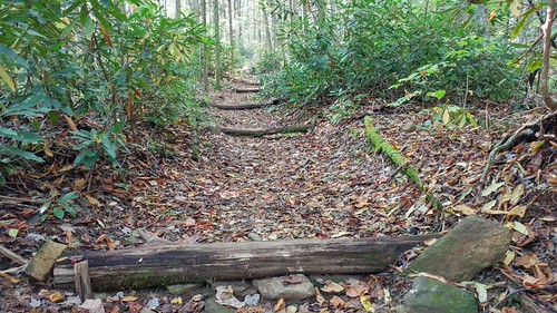 Steps, Appalachian NST, Yancey County, NC, hiking northcarolina appalachiantrail yanceycountync chfstew