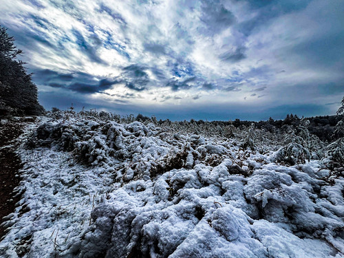 Castle Ring, Cannock Wood, | by cattan2011