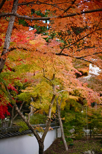 osanpo_1214 | by gnsk