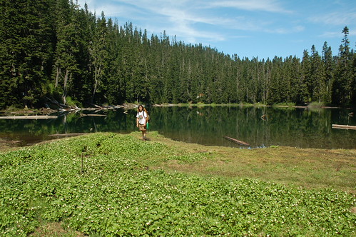 High lake